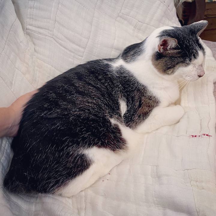 91c7f930 7545 4307 865a b1ab41421bdd 1599381133804