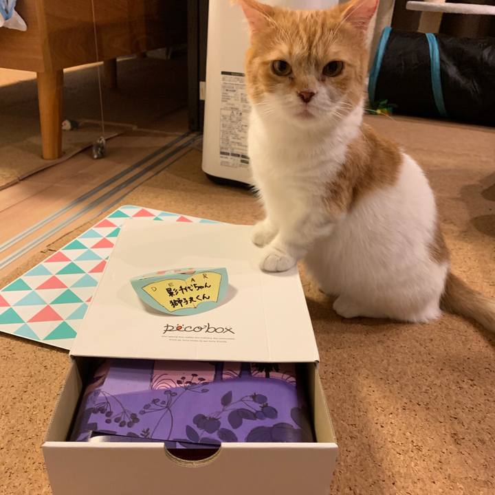 91c7f983 bbd4 41a3 9480 40cb069a1076 1558781962087