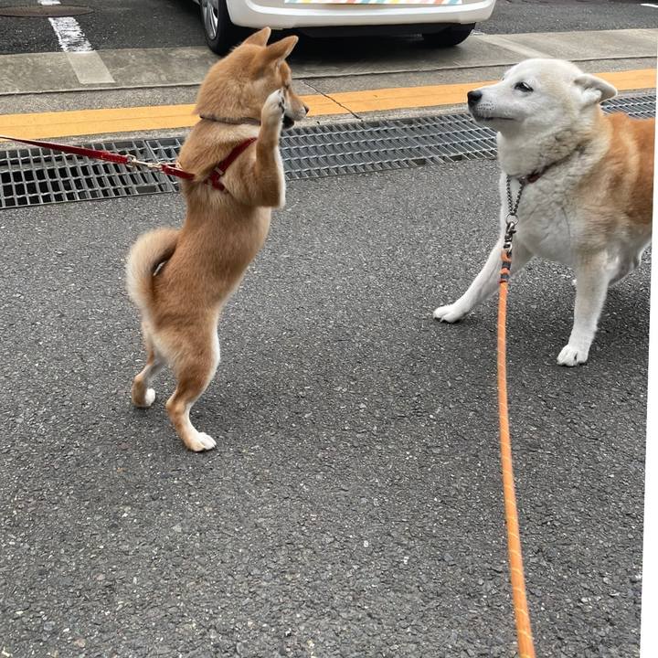 91c811a1 6b80 4784 8024 5a340ed16cfd 1629357990179