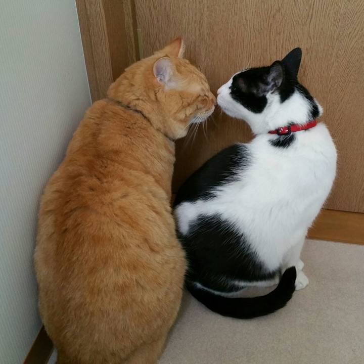 91c84747 168c 4d7a b5d6 0a2eca93dc7c 1516505929270