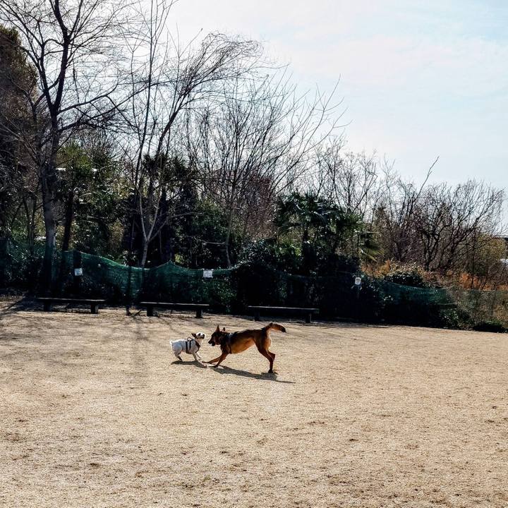 91c86e8a bf0b 4ffc 83a6 b76b928edc05 1772328257866