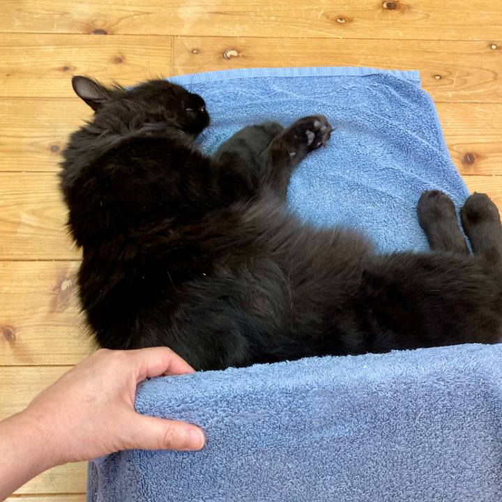 91c89c01 d36d 403f 8bb0 86458c2ebc38 1750404968554