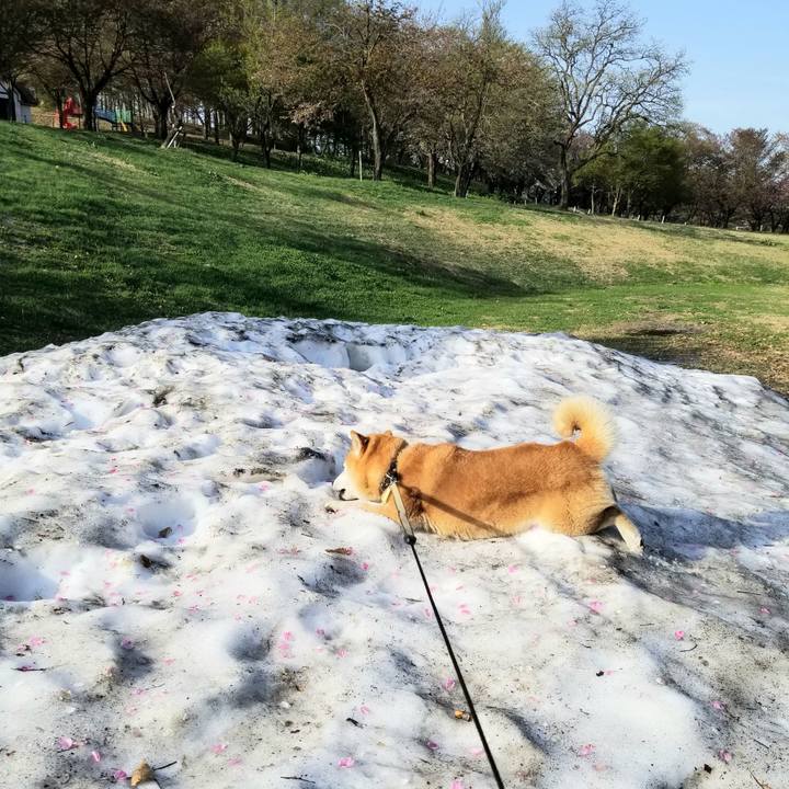 91c8a9a9 ff2a 40dd ab82 ea8005a13f1b 1650871131229