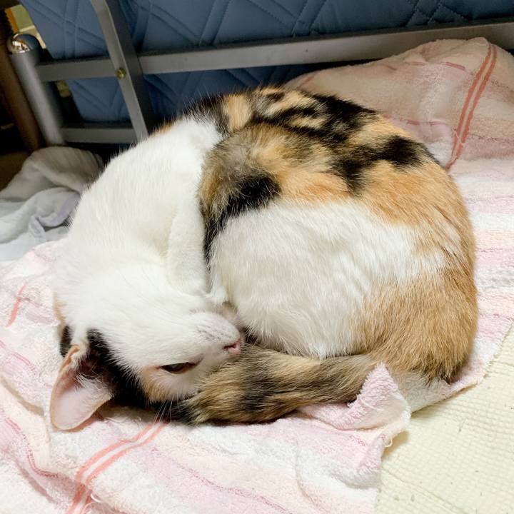 91c8aa34 0545 4781 8084 d7b707309528 1539183695417