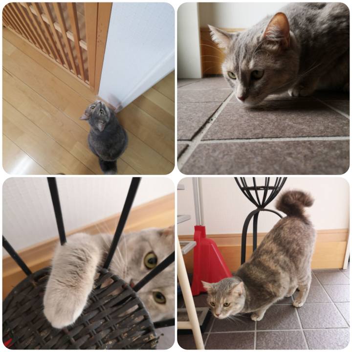 91c8aca2 191e 4eda bbe5 afa0795efa96 1568000071374