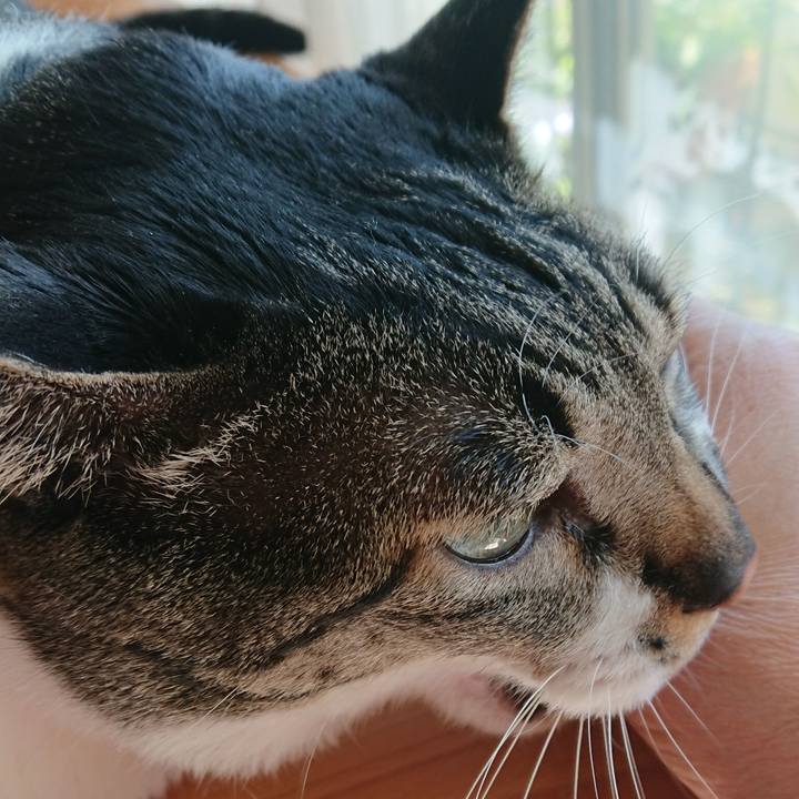 91c8d27f 984f 4171 9d69 576d86807d4f 1526081993183