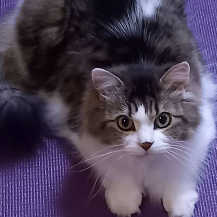 91c902bc 2a80 4e03 bad0 4acf92850205 1674305965057