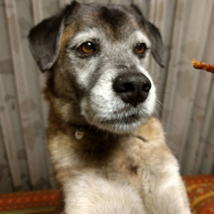 91c95c99 ccd6 4544 a5d3 e8edd5a55696 1543825845237