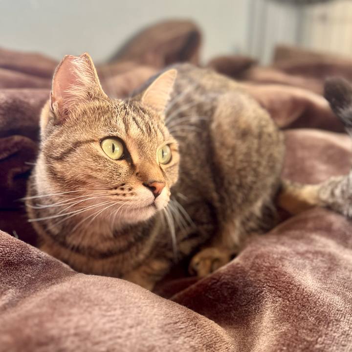 91c985d1 1859 4a69 a3dd 3983f48db987 1764073189005