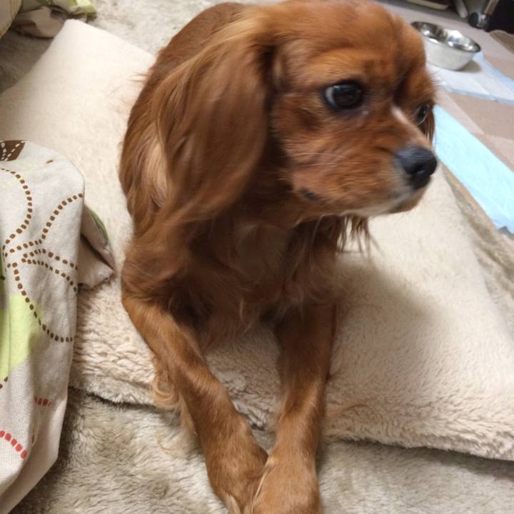 91c99091 1f8e 4e02 b0e2 df850f892b7d 1522103195625