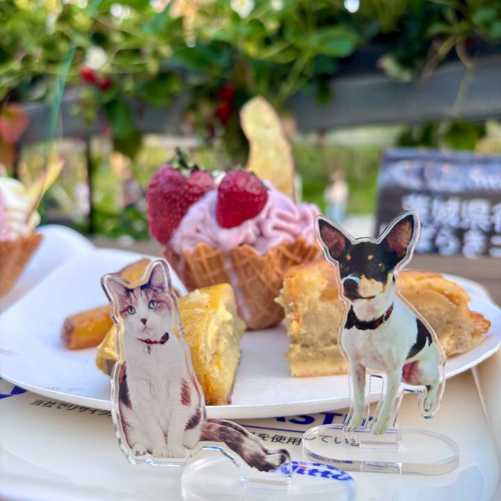 91c9c671 b6e8 4bf1 aad4 b396ea8ff472 1747144415859