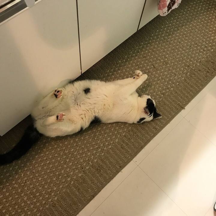 91c9cce7 4ae4 4ec4 9795 b2c7cce1b46a 1524494713309