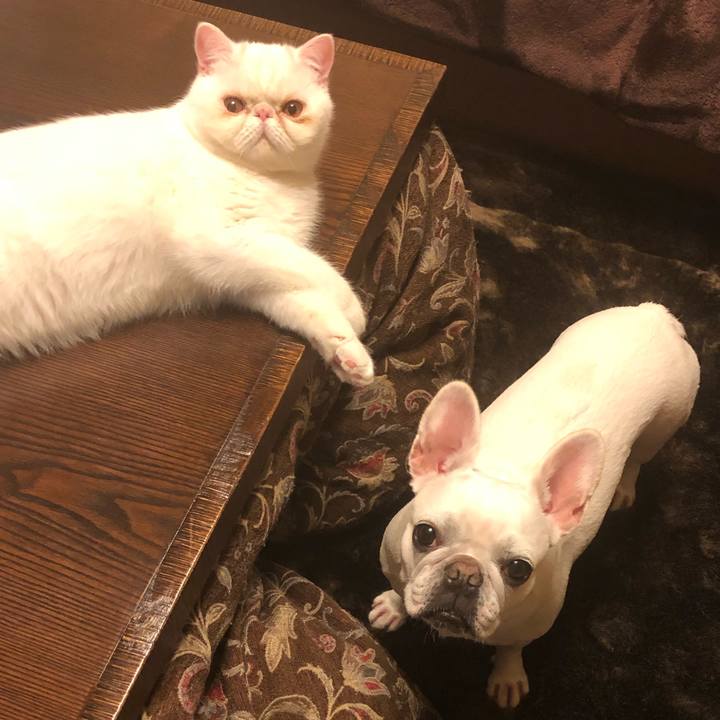 91c9cede 814c 4087 8acb 60666c594846 1606479989194