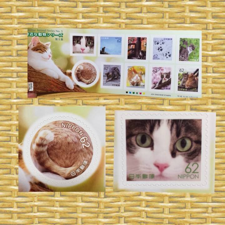 91ca08c8 845a 44be b2f8 be2f7a65d73b 1526566955520