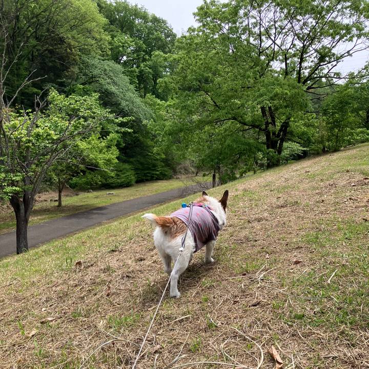 91ca245b 1935 486c 8f8d 0f4fc2e302ba 1714605686252