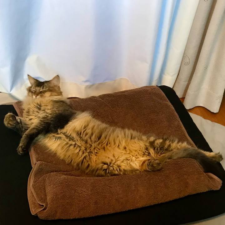 91ca41f5 9ad6 4612 b622 9aea0a77a151 1754261521216