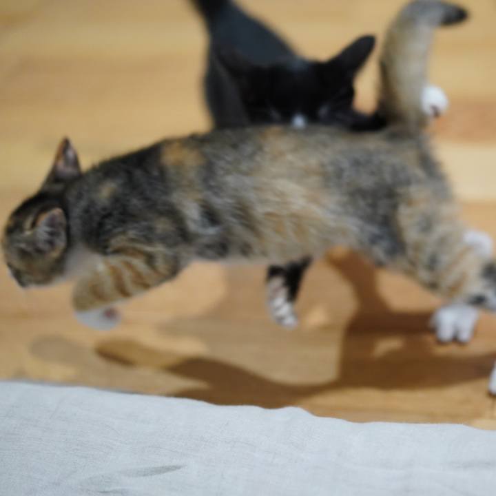 91ca4226 4cda 4cd4 8a8b 63d255228e5b 1568127612900