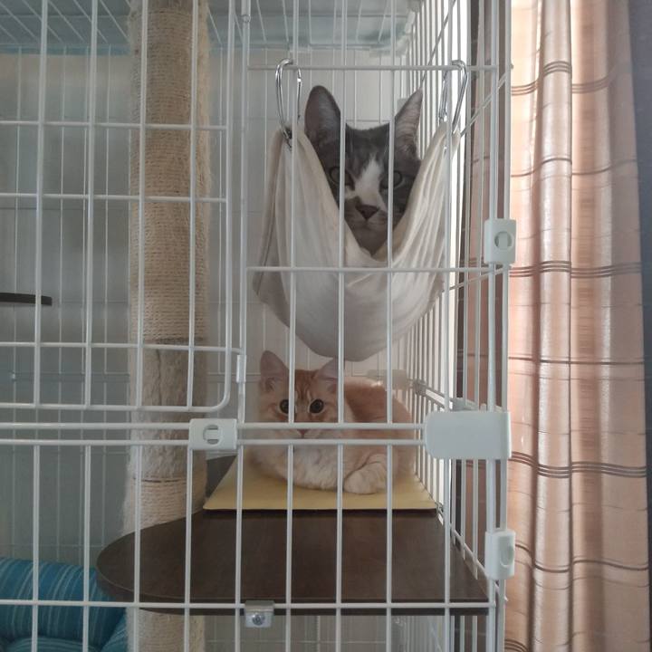 91ca5ca7 1c8d 48b5 b1d4 16c7b15b7546 1614064681411