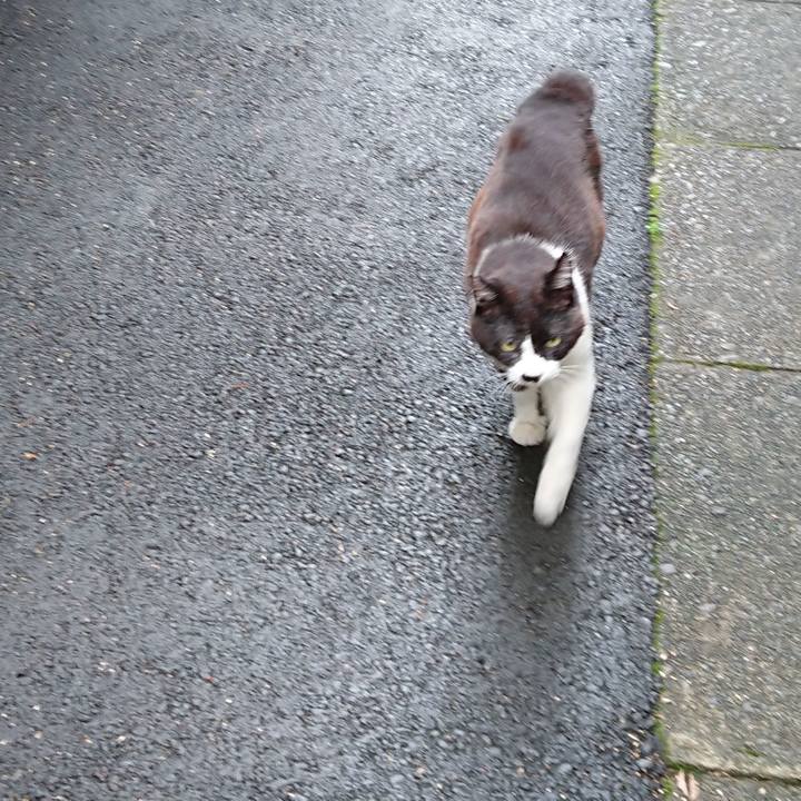 91ca5fba d5cb 48dd 81dc 2b9222c02529 1688167195709