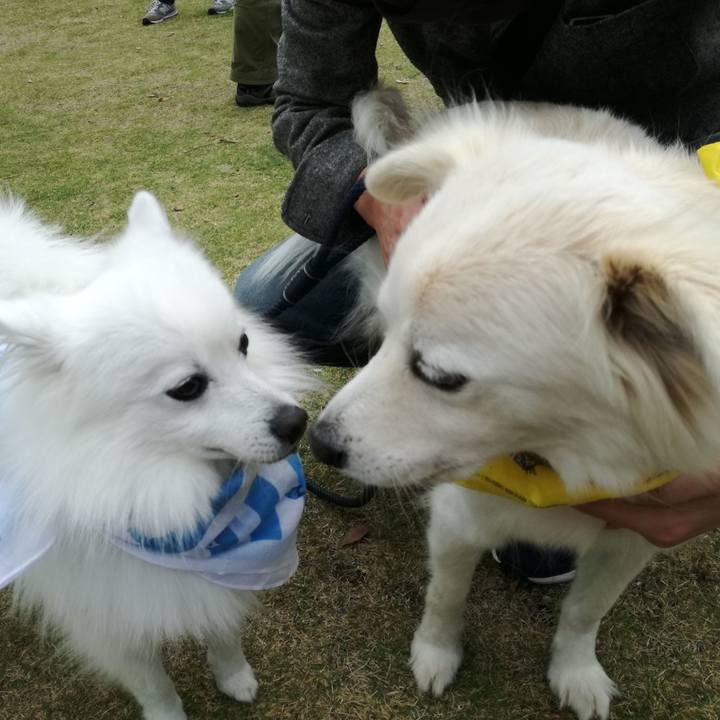 91ca660b e93a 4aa7 9132 f9e4fc83bb8d 1542446971870