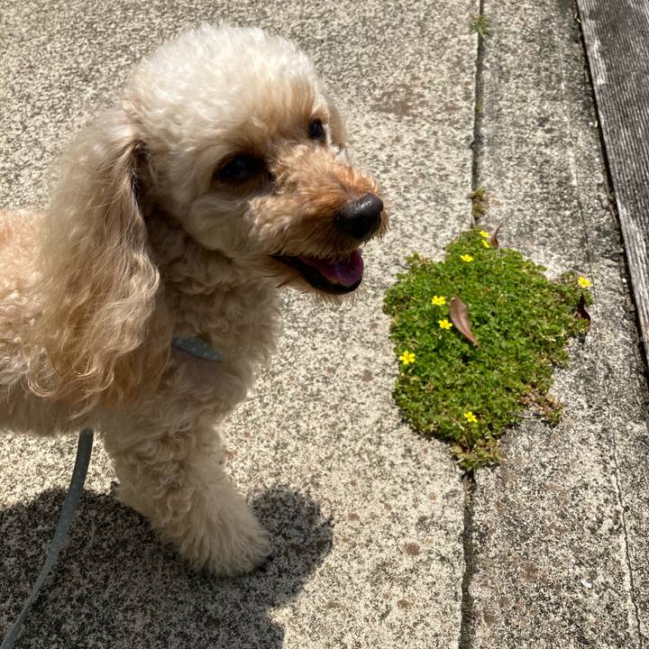 91ca71f1 209f 49aa b221 663a953144f2 1651924009510