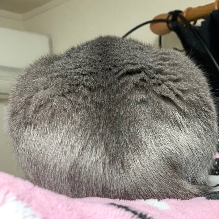 91ca8467 4dae 424b 9bee d0a92315c176 1636285382716