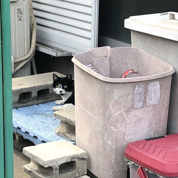 91cb2a1c a4f1 4583 97d2 9c52bc988619 1565878044018