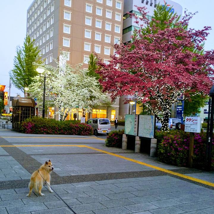 91cb48c0 1236 463c 95e4 5f8df27c9107 1588328335693