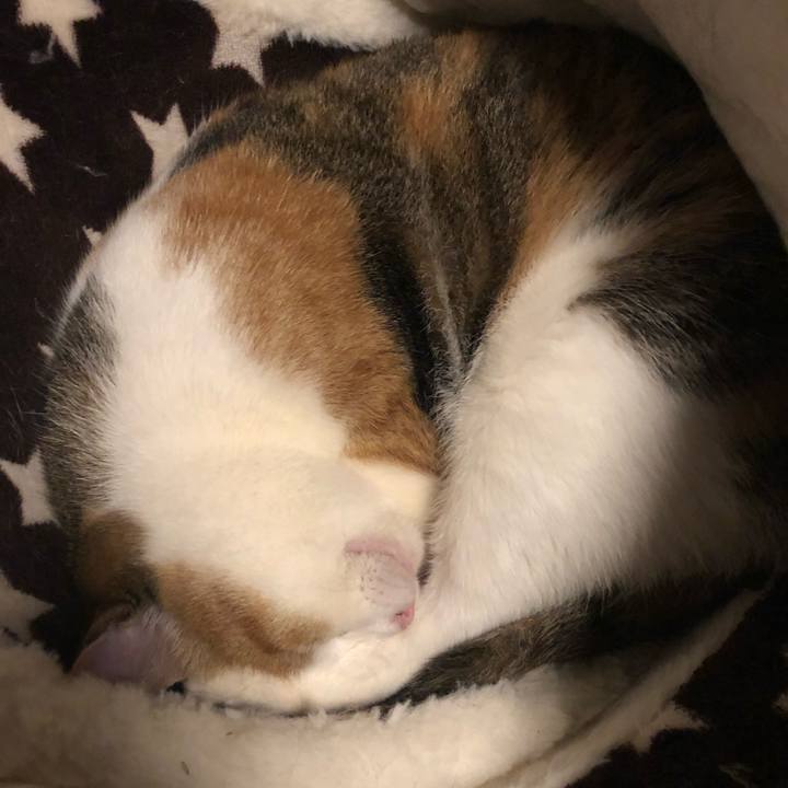 91cb55b1 b6a2 46a6 8e11 b867841a4bab 1586024526010