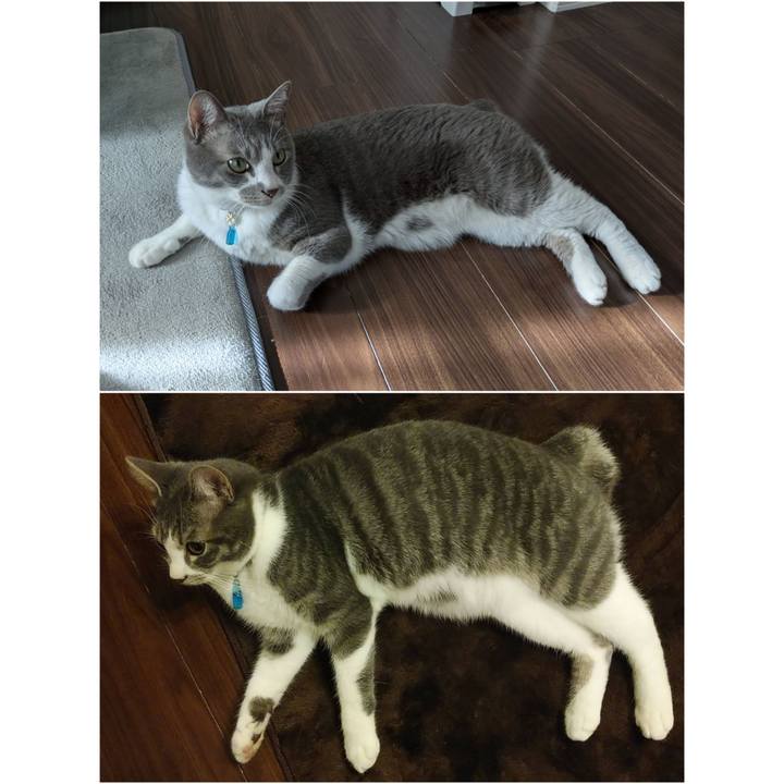 91cb5aa3 0e68 4b82 8d03 5e01979ad877 1735533377460