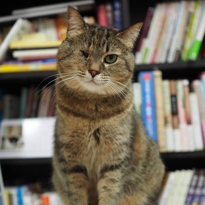 91cb81ee 37dd 4a0d b360 91c0e37ee09b 1529017278669