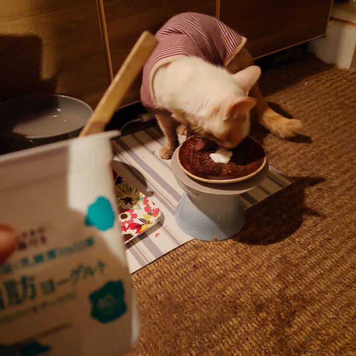 91cb9323 bbed 475c 917f aea92b9d676d 1774449743247