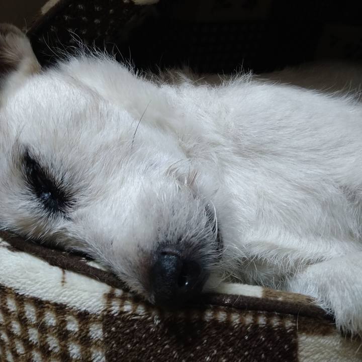 91cb9a42 b3b7 4483 bc86 a23b92367746 1729083934177