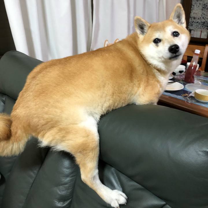 91cba0c0 321e 453e ab75 d8bb300434f0 1604304493691