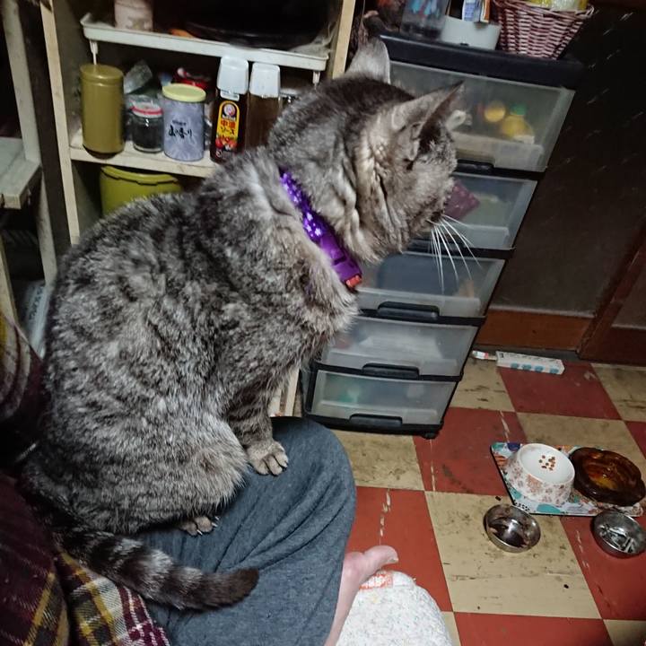 91cbad6a 2e2a 40f3 9c6e 5326562911c5 1585427008241