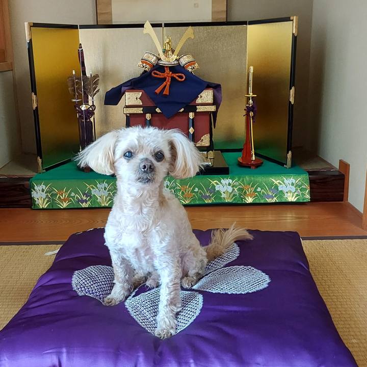 91cbd926 9861 4357 82b5 ebfdaa1b6362 1745903570329