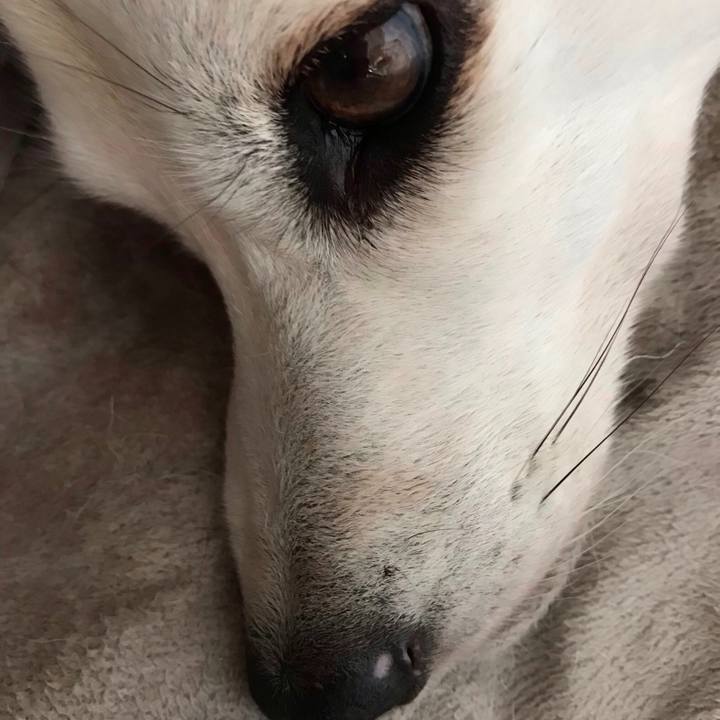 91cbf4b9 da60 4cca bf91 fd893cf3e6d6 1581637902961