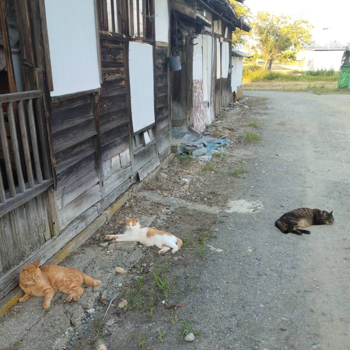 91cbf849 b315 4611 9033 f30da3dcccd6 1751275958968