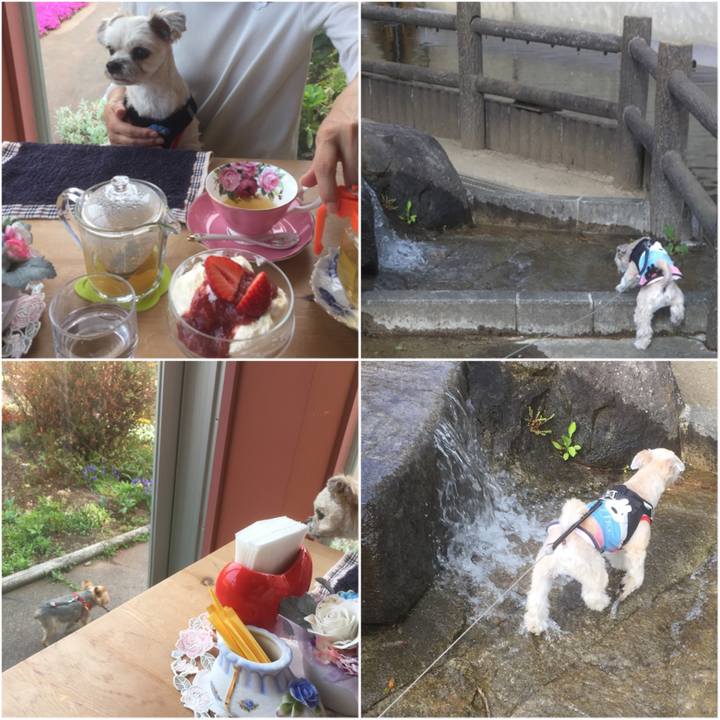 91cbfbd4 cd94 4959 852b 89e9570df97a 1556603336321