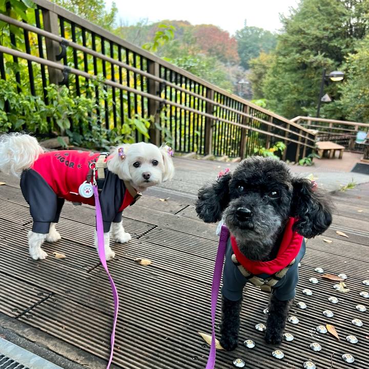 91cc060d ca44 4790 9226 f3fded0b6a75 1762675384125