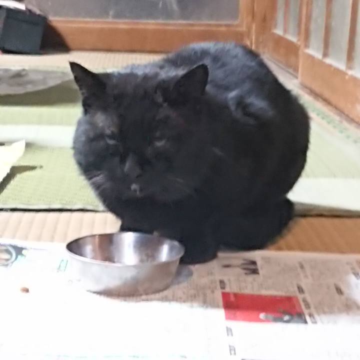 91cc1b1a 271f 477e b4fc 6f3e1460bb7e 1614508481083