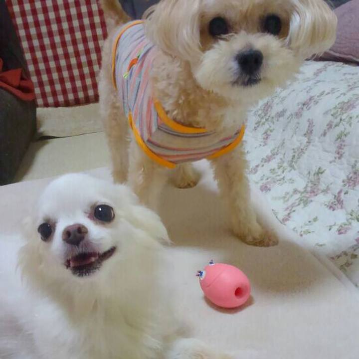 91cc2215 3c4e 440c 94fc 1db51630f455 1530709081961