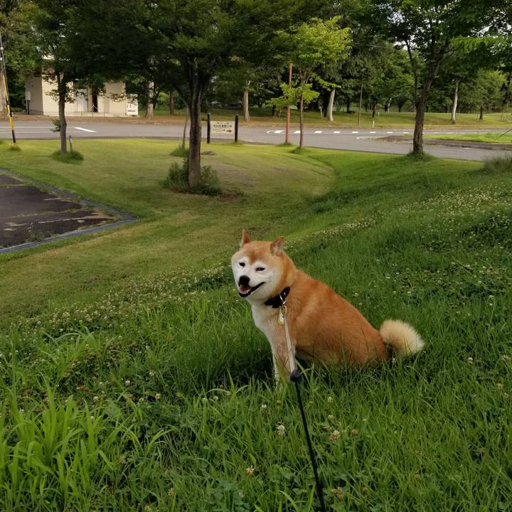 91cc38a3 51fd 4279 b99f 2912f31f254c 1657268649691