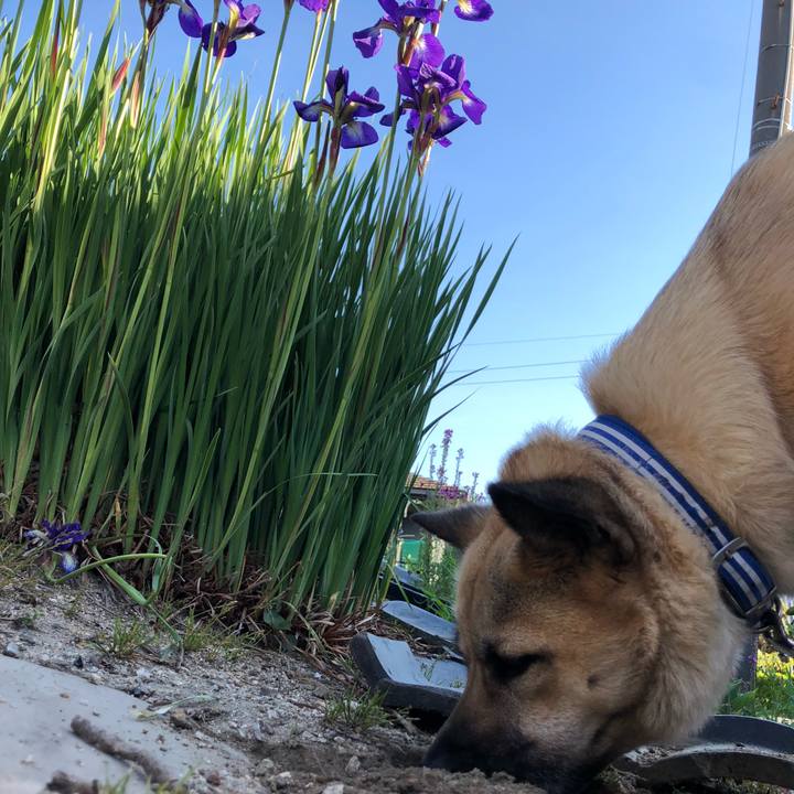 91cc396c dca6 4166 8c2a 30e9069324a5 1557317018282