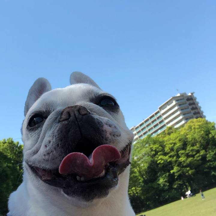 91cc3b56 b594 469a b147 a02db683da9c 1683101912620