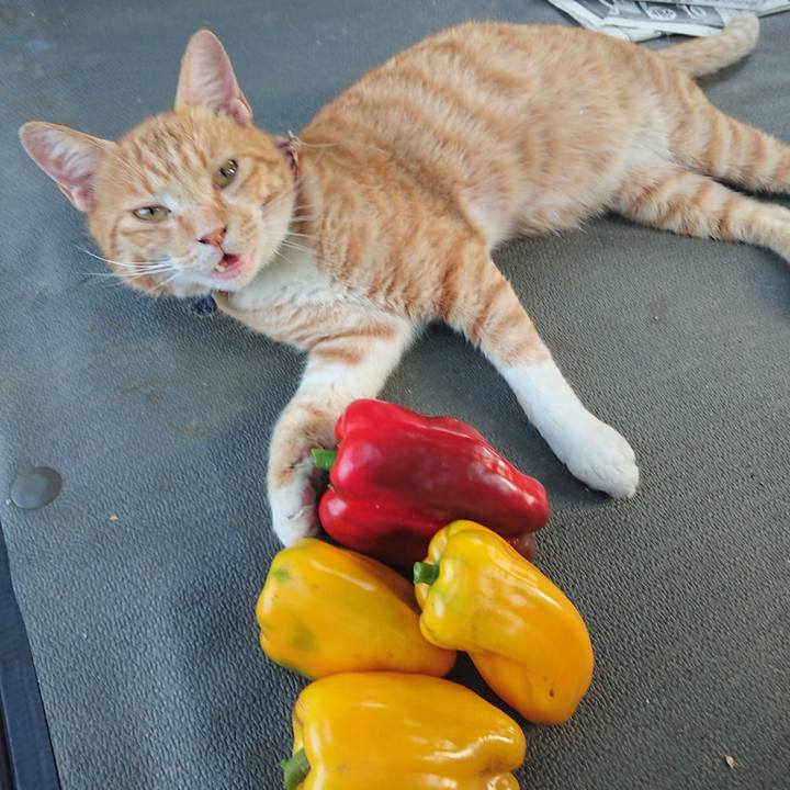 91cc4f35 0945 4732 904d be43a912b38d 1564909325960