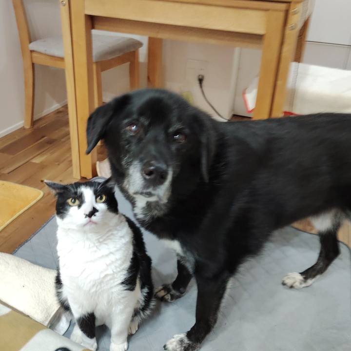 91cc78ee d785 4b6c b108 5fad87185878 1763355091069