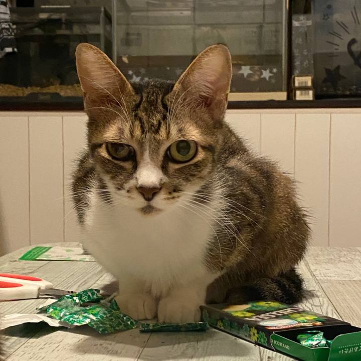 91cc851b 37e2 4f99 b70f d89eafd9483d 1601819824405