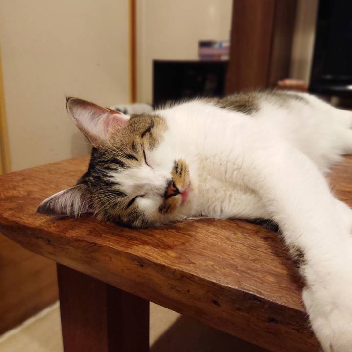 91ccba2f 0ca8 458f 8ac6 33c641c1a1d6 1597068324672