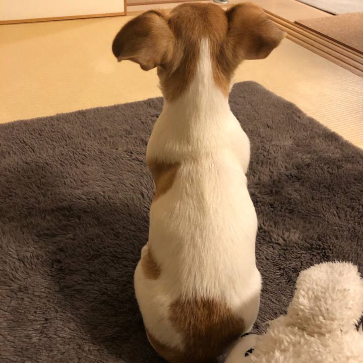 91ccbdcd bcb7 48ef a5b7 b85eff084035 1546851868408